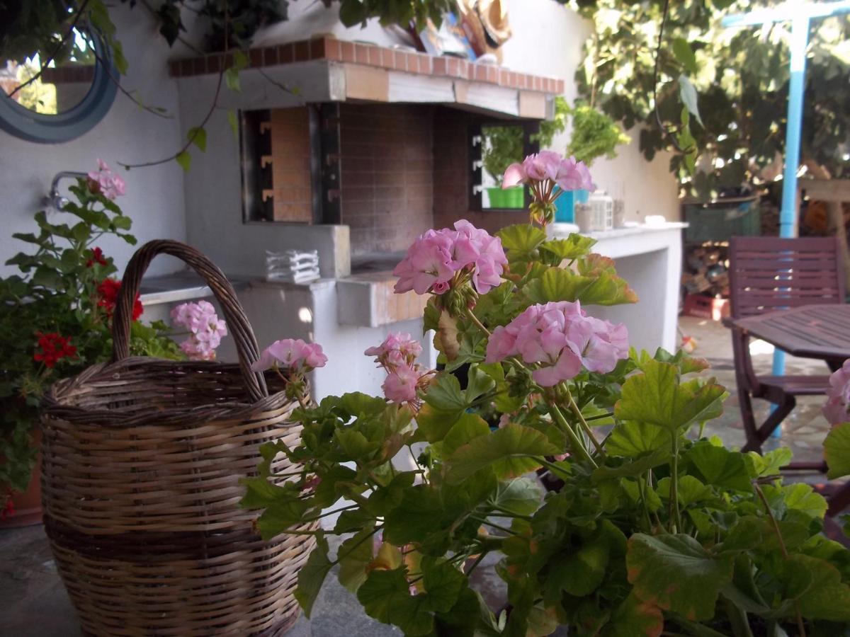 Nefeli Appartement Drios Buitenkant foto